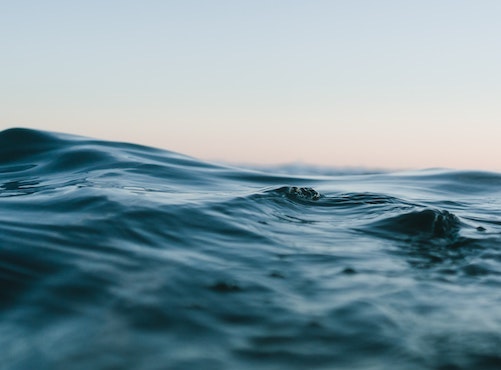 assertivite inspiration attitude rh