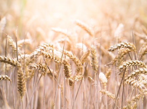 Bon sens Attitude RH